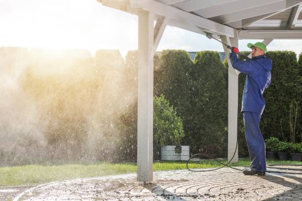 Best Roof Washing  in Mount Holly, NC